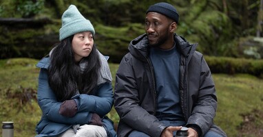  تصویر آواز قو