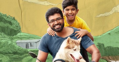  تصویر وای سگم