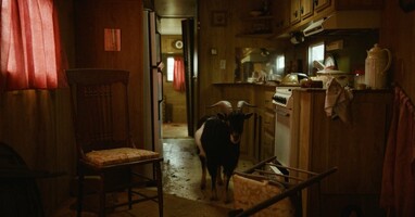  تصویر خواب زمستانی انسان‌ها