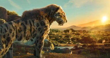  تصویر حیات در سیاره ما