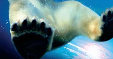  تصویر سیاره زمین