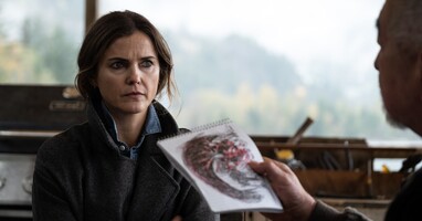  تصویر شاخ ها