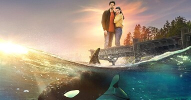  تصویر فوران عشق