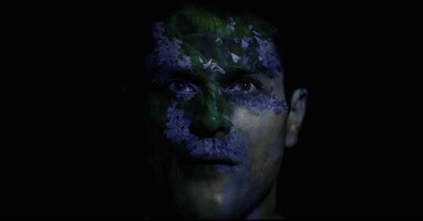  تصویر گیاه تاجریزی