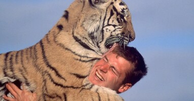  تصویر زندگی با ببرها