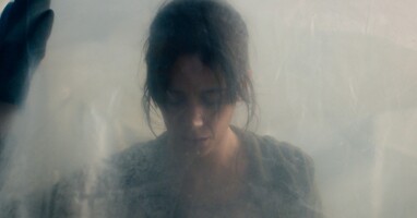  تصویر هجوم ملخ ها