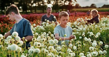  تصویر نزدیک