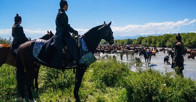  تصویر یک افسانه