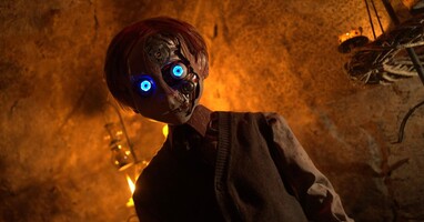  تصویر رابین