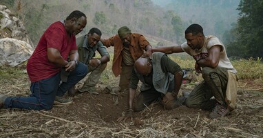  تصویر پنج هم خون