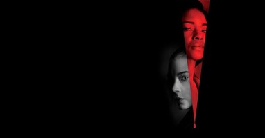  تصویر زنبور