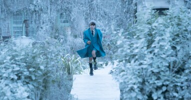  تصویر روالد و بئاتریکس:دم موش کنجکاو