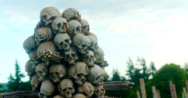  تصویر ۲۸ سال بعد