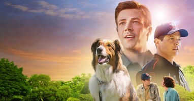  تصویر نجات یافته توسط روبی