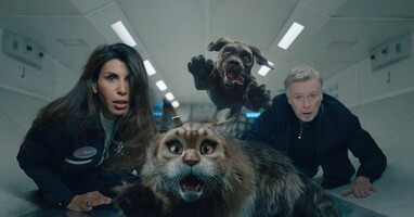  تصویر گربه و سگ