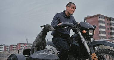  تصویر سگ سیاه