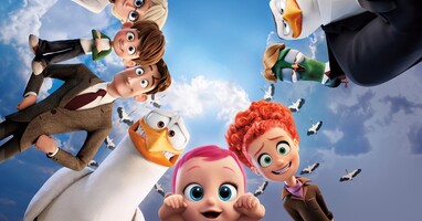  تصویر لک لک ها