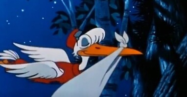  تصویر داستان های جورواجور