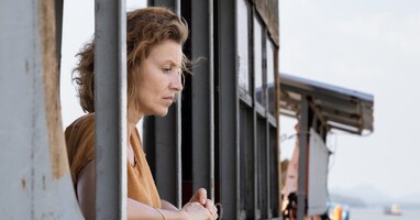  تصویر معامله سبز