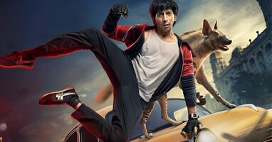  تصویر کفتار