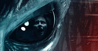  تصویر وایلدوود