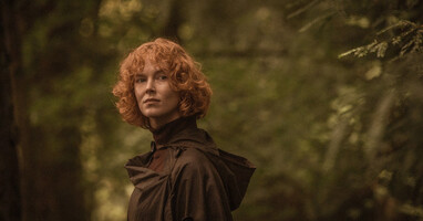  تصویر تله خرگوش