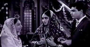  تصویر زندگی