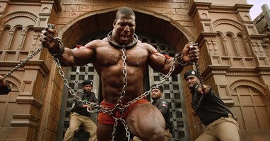  تصویر مارتین