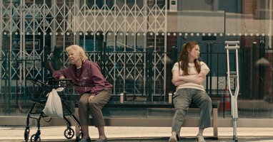  تصویر دیر شکوفه ها