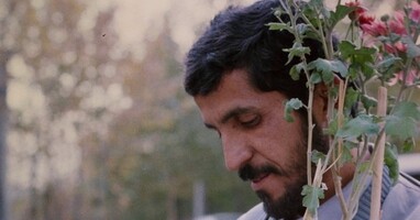  تصویر کلوزآپ