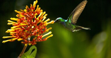  تصویر بال‌های زندگی