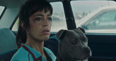  تصویر وینسنت باید بمیرد