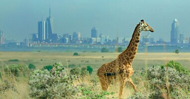  تصویر شکستن مرزها: علم سیاره ما