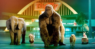  تصویر ایوان بی همتا