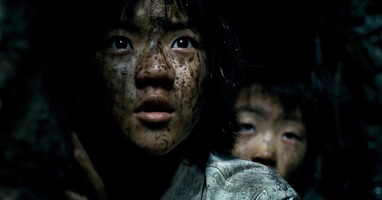  تصویر میزبان