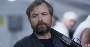  تصویر گاو وحشی