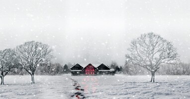  تصویر بوران