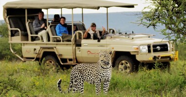  تصویر کاوشگران حیات وحش