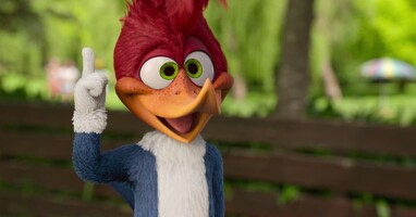  تصویر وودی دارکوب به کمپ می رود