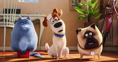  تصویر زندگی مخفی حیوانات