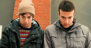  تصویر گل بابونه