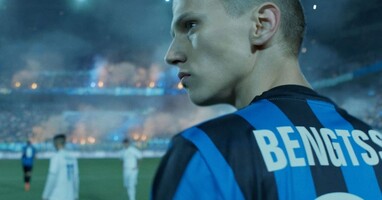  تصویر ببرها