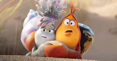  تصویر زیر مسیر چوبی