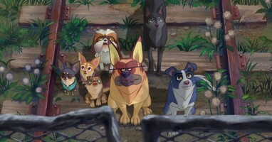  تصویر آندرداگ