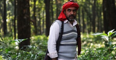  تصویر شردیل