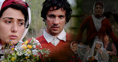  تصویر می‌ زاک