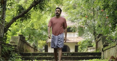  تصویر قلمروی میمون ها