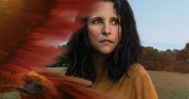  تصویر سه شنبه