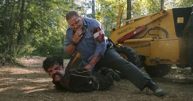  تصویر برادرها