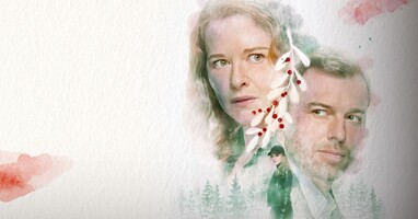  تصویر قتل های میسلتو